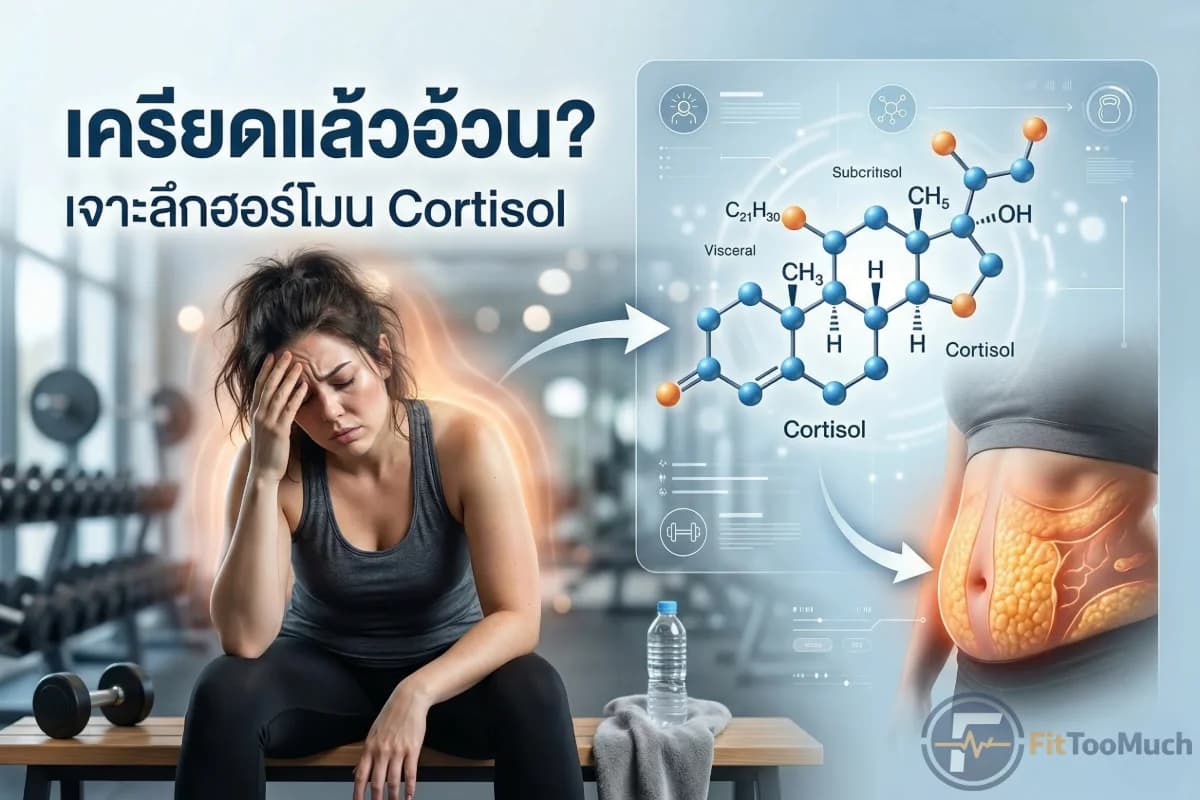 เครียดแล้วอ้วน? เจาะลึกบทบาทของ Cortisol ฮอร์โมนตัวร้ายที่ขวางทางลดน้ำหนัก