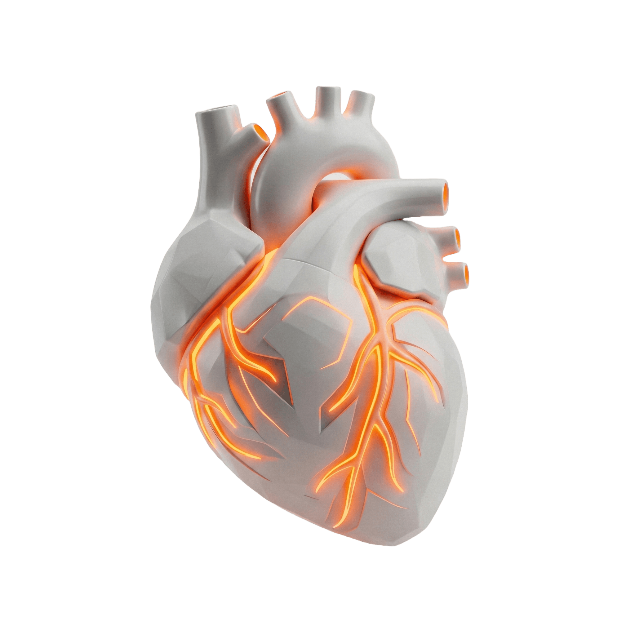 คาร์ดิโอ