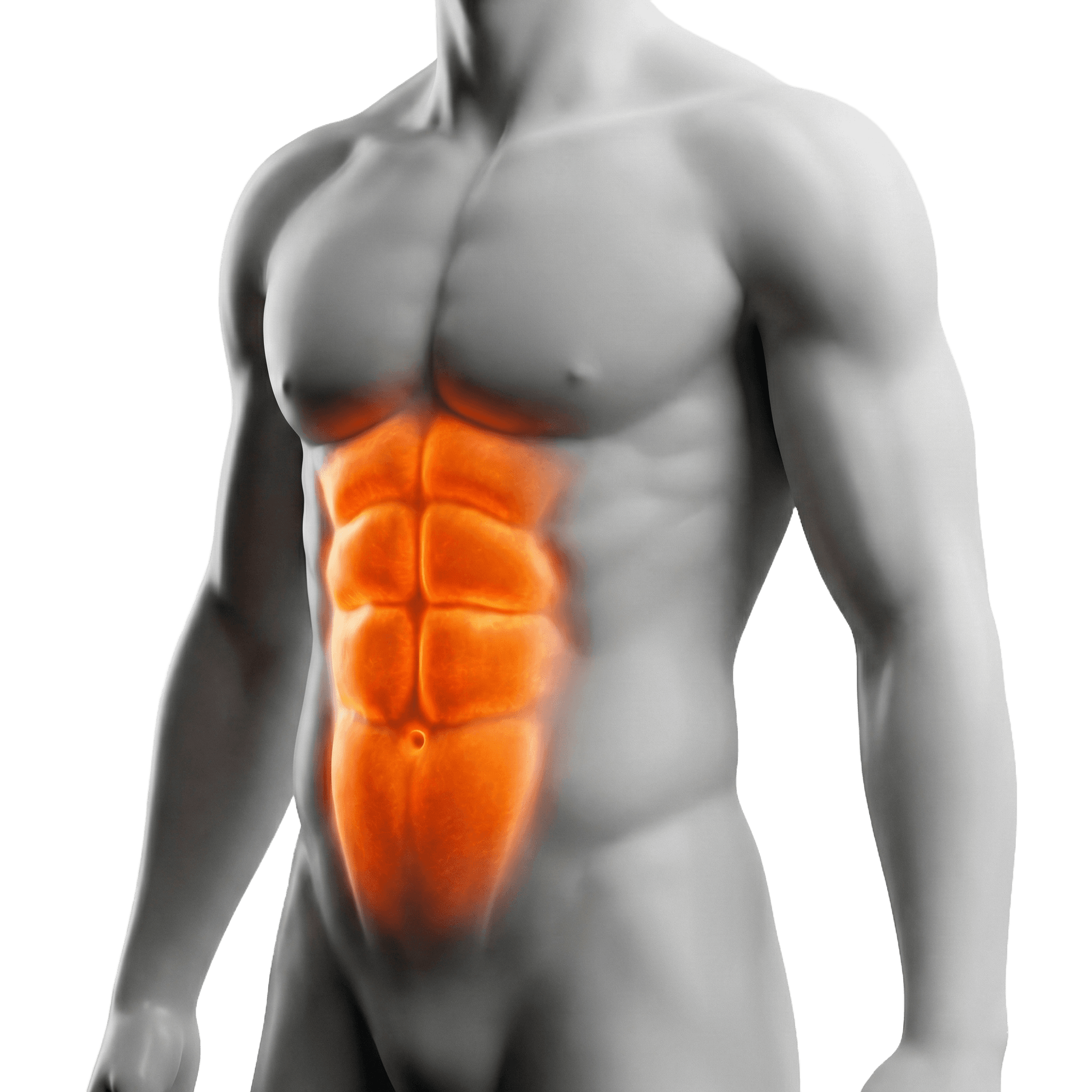 หน้าท้อง